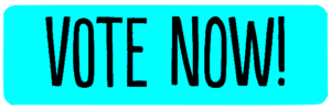 St. Pete Beach Awards Vote now