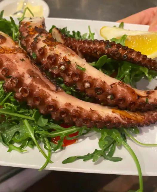 Grilled Octopus